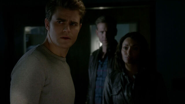 File:713-093-Stefan-Bonnie-Alaric.jpg