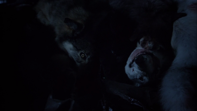 File:WerewolfGenocide1.png