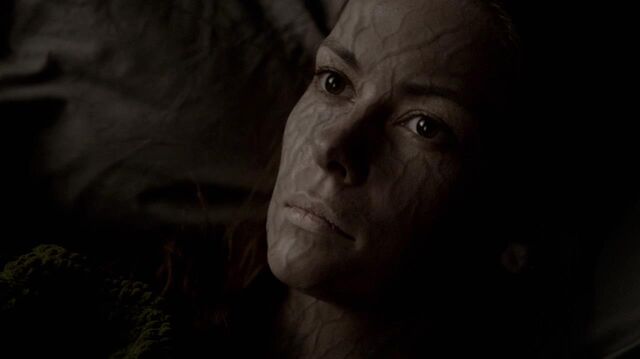 File:TVD 1129.jpg