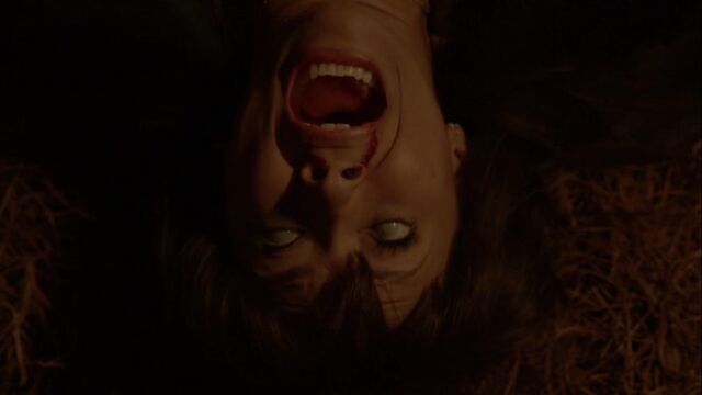 File:Because the Night Bonnie.jpg