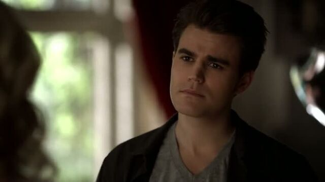 File:6X13-14-Stefan.jpg