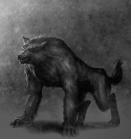 File:Werewolf-Drawings-werewolves-7325040-800-910.jpg