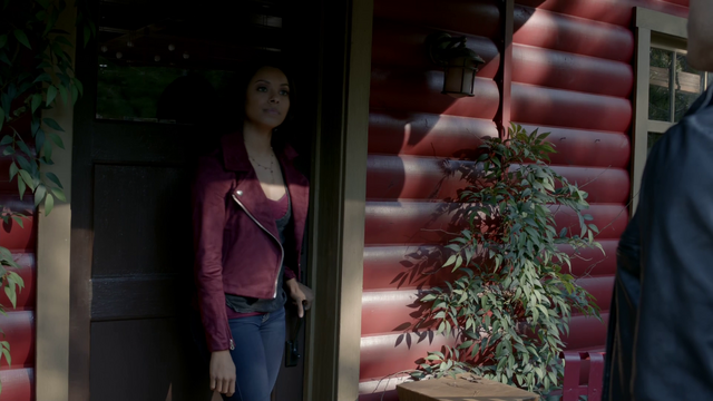 File:719-018~Damon-Bonnie~Enzo.png