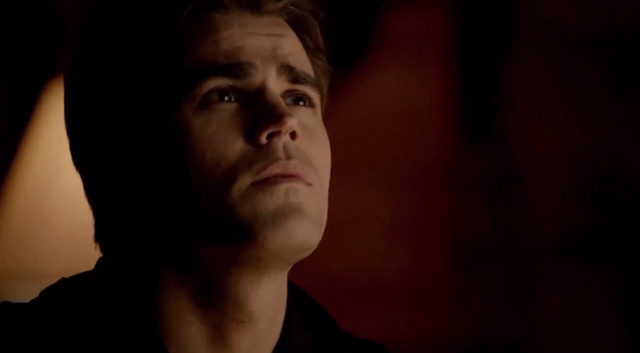 File:Stefan-5x20.png