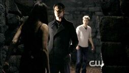 Normal TVD0309