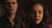 Katherine Stefan 1492