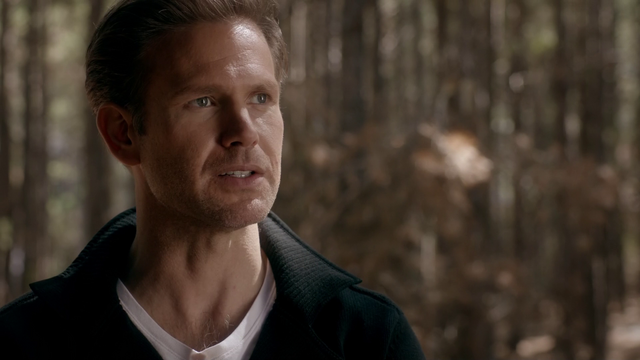 File:719-102~Stefan-Alaric.png