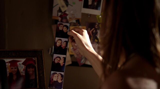 File:Yellow Ledbetter (17).jpg