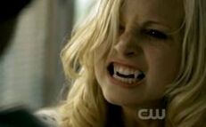 Caroline vampire.jpeg