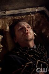 3x06 (1).jpg