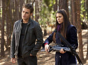 TVD318A0398b5-477662059710079501.jpg