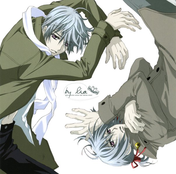 Vampire Hunter Vampire Knight Wiki Fandom Powered By Wikia