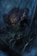 Forest wolf