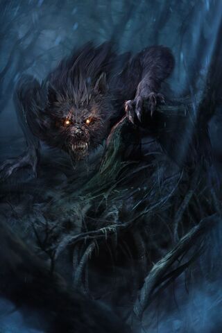 File:Forest wolf.jpg