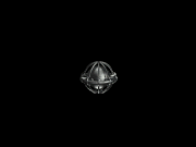 Itm59.gif