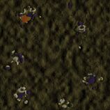 Ark-a-znoy.jpg