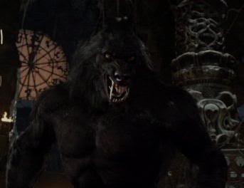 File:Black wolf.jpg