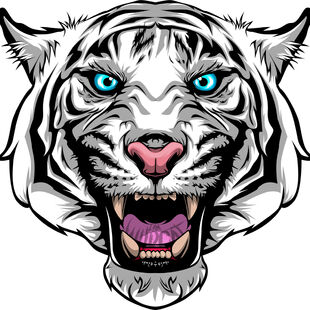Image result for i am wildcat