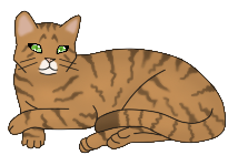 File:Mrs Moggs.png