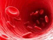 Inside-a-blood-vessel