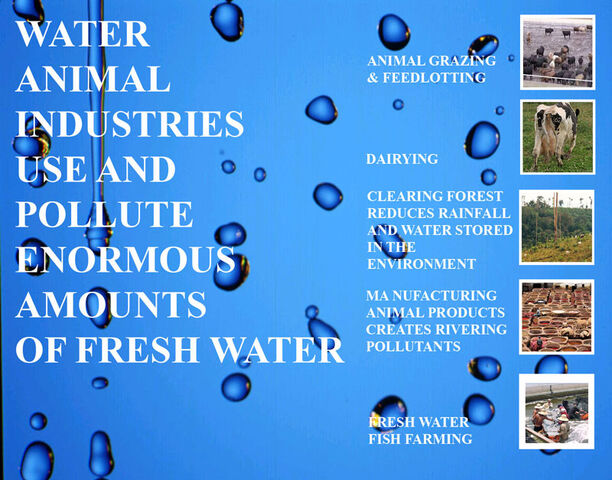 File:VeganWater.jpg