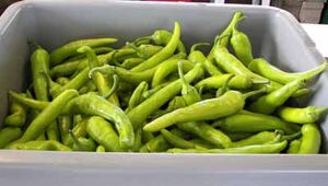 Banana peppers
