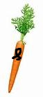 Carrot guard