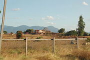 Lethem.jpg
