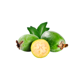 File:FEIOJA.png