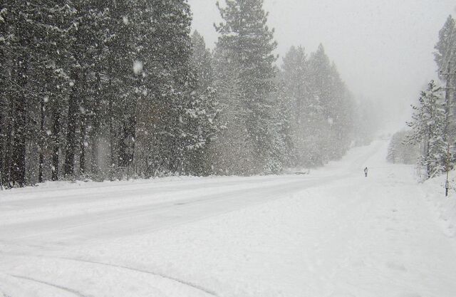File:Snow.jpg
