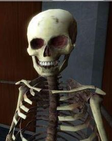 Skelly