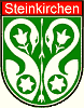 Logo SGi Steinkirchen.gif