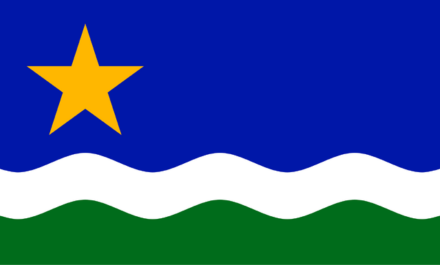 File:Minnesota North Star Flag.svg.png