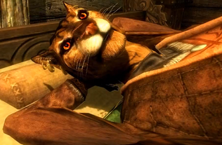 Taz