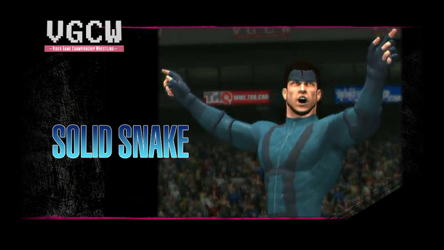 File:VGCW-standby Snake.png
