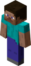 Minecraft gracz.png