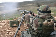 Cal50 Browning 2REI 2.jpg