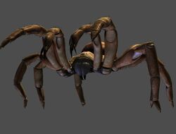 Trapdoor (Eight Legged Freaks)