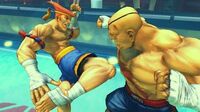Adon-v-sagat-525x295