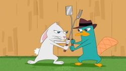 Dennis vs Perry