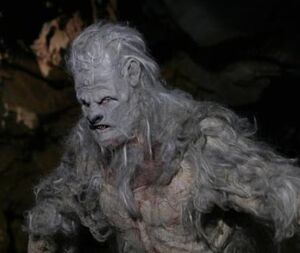 Yeti2008