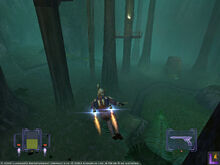 SWBH (Jungle Trek)