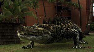 Supergator2 zps7b6ad894
