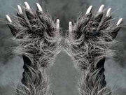 Hairy-knuckles