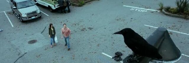 File:Foulmouthed Crow.jpg