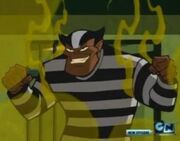 Polecat Perkins BTBATB 001