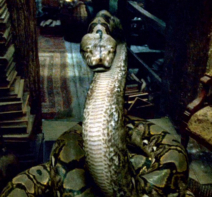 Nagini  Villains Wiki  FANDOM powered by Wikia