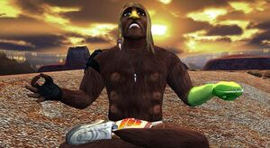 Xavier meditating