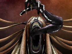 The Phantom's Arm