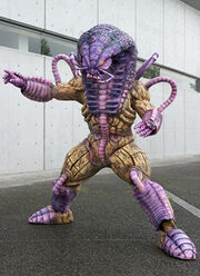 Tomarezu of the Tsuchinoko